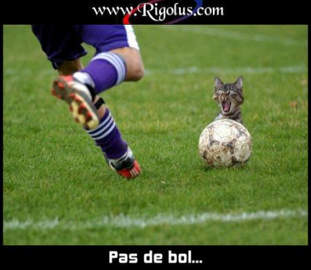 pas   de bol