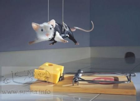 c'est  tom  cruis