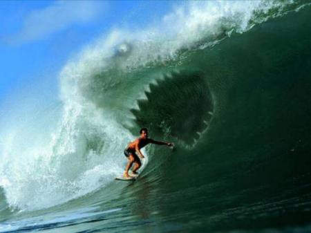 surf