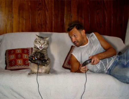 xbox
